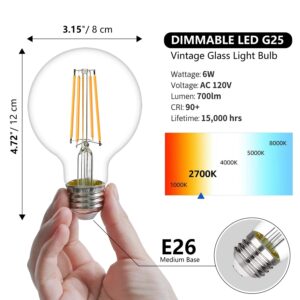 LiEiDi G25 LED Edison Vanity Globe Light Bulbs, LED Filament Light Bulb, 6W Equivalent to 60W, G80 Dimmable 700LM E26 Medium Base, Bathroom Vanity Mirror Light Pack of 6 (Clear 2700K).