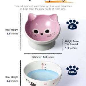 AISBUGUR Ceramic Cat Bowls Set of 2, Elevated 15 Tilted Design for Indoor Cats, Large Capacity, Easy to Clean, Non-Slip Base, Cute Pattern,Pink