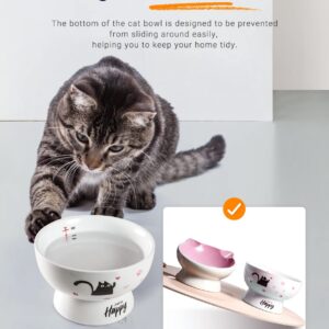 AISBUGUR Ceramic Cat Bowls Set of 2, Elevated 15 Tilted Design for Indoor Cats, Large Capacity, Easy to Clean, Non-Slip Base, Cute Pattern,Pink