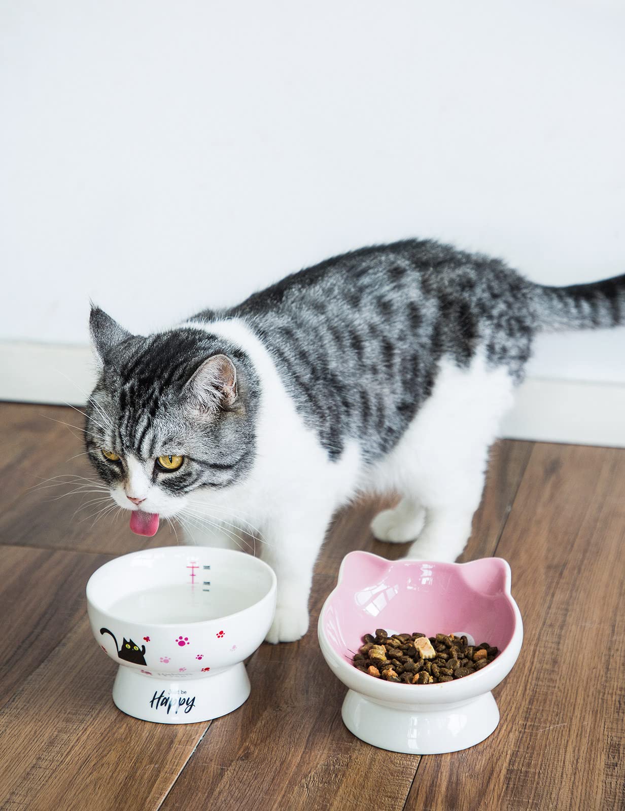 AISBUGUR Ceramic Cat Bowls Set of 2, Elevated 15 Tilted Design for Indoor Cats, Large Capacity, Easy to Clean, Non-Slip Base, Cute Pattern,Pink