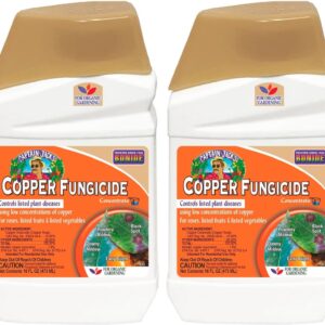 Bonide Captain Jack Copper Fungicide 16 oz Concentrated Plant Disease Control Solution for Organic Gardening (Pack of 2)