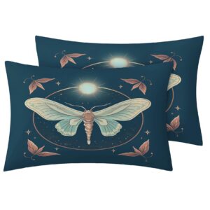 zcwl Moth Duvet Cover Full Size | Celestial Moon Butterfly Bedding Set | 3 Piece | Soft Microfiber Patterned Comforter Cover with Zipper Ties & 2 Pillowcases | Moth Bedroom Decor