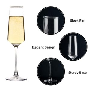 Champagne Glasses Set of 12, Elegant Champagne Flutes, Modern Sparkling Wine Glasses for Home Bar, Wedding, Anniversary, 7.5 oz, Clear