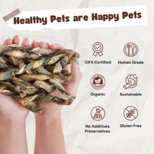 Fish Dog Treats For Small, Medium, Large Dogs - One Ingredient All Natural Organic Dog Training Treats - Human Grade, High Protein, Low Fat, Omega3, Grainfree - Satisfies Dog's Urge to Chew (4oz Bag)