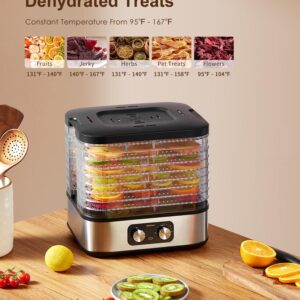 Reemix Electric 8 Trays Food Dehydrator Machine, 400W Jerky Dryer with Temperature Control 95-176℉, Electric Food Preserver for Fruits, Veggies, Meats & Dog Treats