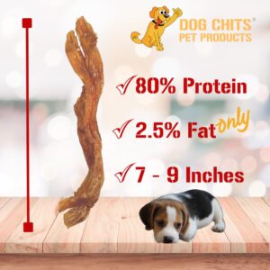 Dog Chits Beef Tendons for Dogs and Puppies | Large 7-9-inch | Odor Free | All Natural, Treats | Hardy Chew for Large and Small Dogs | Premium Grass Fed Beef | 6 Pack