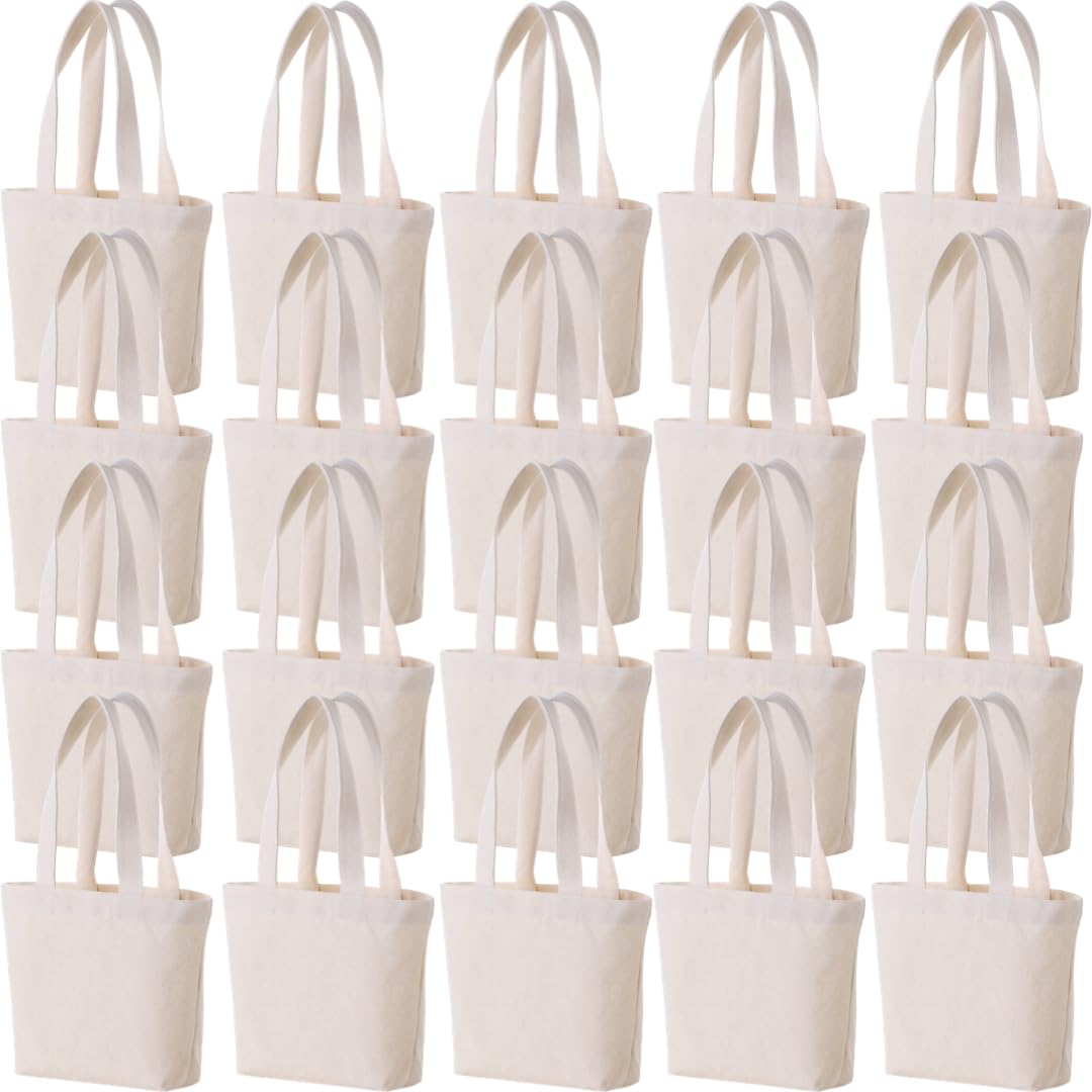 Generic 10×8×3 Inch - Small Canvas Tote Bags for Kids Mini Gift Bags Bulk for Painting DIY Arts & Crafts Thick Fabric Bland Bags (20, Beige)