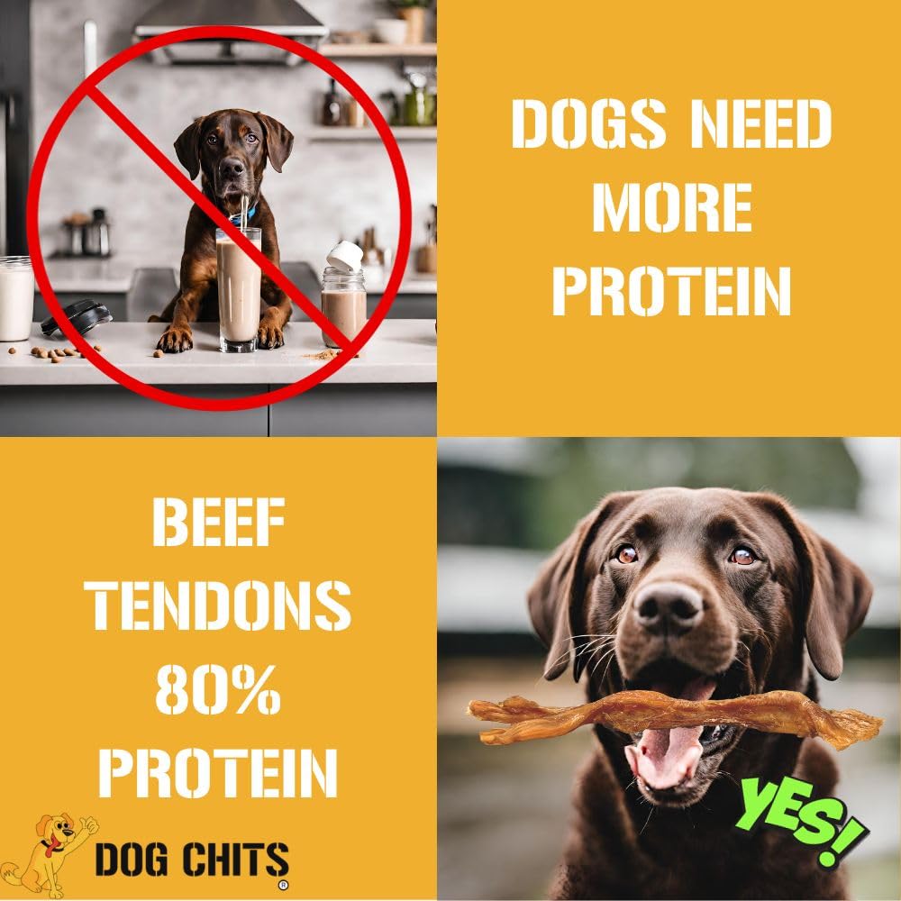 Dog Chits Beef Tendons for Dogs and Puppies | Large 7-9-inch | Odor Free | All Natural, Treats | Hardy Chew for Large and Small Dogs | Premium Grass Fed Beef | 6 Pack