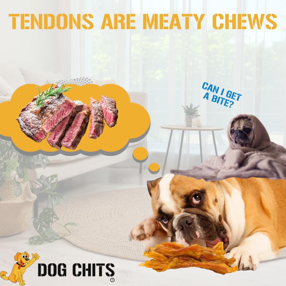 Dog Chits Beef Tendons for Dogs and Puppies | Large 7-9-inch | Odor Free | All Natural, Treats | Hardy Chew for Large and Small Dogs | Premium Grass Fed Beef | 6 Pack