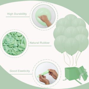 Pastel Green Balloons in different sizes 5 10 12 18inch-134pcs Pastel Green Balloons for Garland Arch，Baby Shower Graduation Wedding Anniversary Gender Reveal Birthday Party Decorations