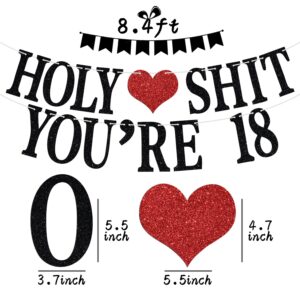 Holy Sh*t You're 18 Banner - Funny Happy 18th Birthday Bunting Sign, 18&Adultish, Cheers to 18 Years, 18 Years Old Birthday/Anniversary Party Decorations Supplies for Boys Girls