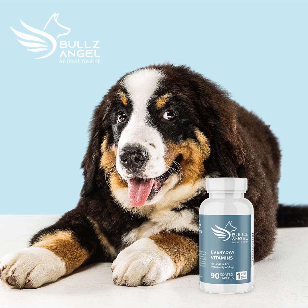 Bullz Angel Everyday Vitamins for Dogs - Dog Use - Healthy Life - Essential Vitamins - Amino Acids - Natural Ingredients - Daily Use