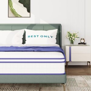 King Mattress, Rest Only 10 Inch King Size Mattress in a Box, Memory Foam & Individually Wrapped Coils Pocket Spring for Motion Isolation and Pressure Relief, Medium Firm