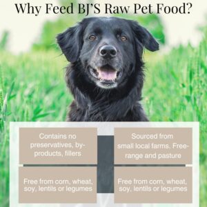 BJ's Raw Pet Food Freeze Dried Turkey Complete Mix High Protein Nutritious Meal for Optimal Health Made in USA, 14-Ounce