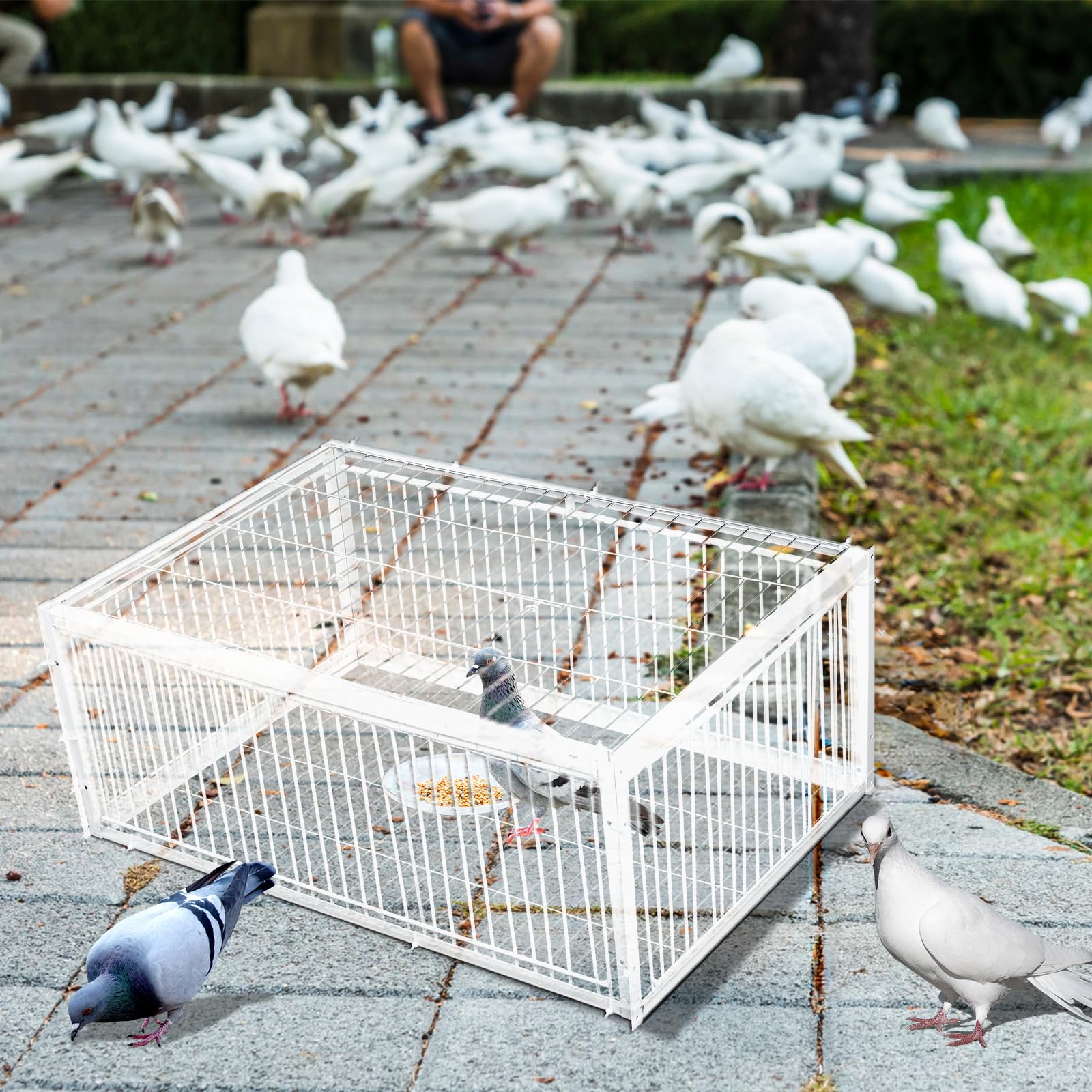 Nisorpa Pigeon Trap with Unidirectional Entrance, Encrypted Pigeon Cage Automatic Pigeon Collection Chicken Cage and Bird Trap with Metal Welding, 25 * 16.7 * 10.2 in