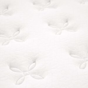 Modway Jenna 6" Innerspring and Foam Queen Mattress in White