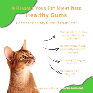 Hemp Oil for Cats - Calm Your Feline Friend with Hemp Oil,Help Pets with Joint Pain,Anti-Inflammatory，Anxiety Stress ，Skin and Coat Health，Cat Calming