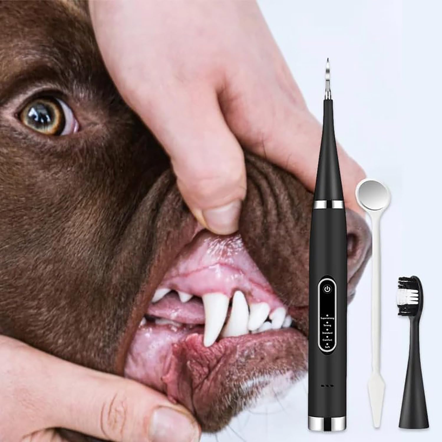 Yunbim Canident Dog Toothbrush, 5 Adjustable Strengths, IPX6 Waterproof, Removes Tartar, Ultra Soft, Reusable, Includes 2 Toothbrush Heads, Black-c