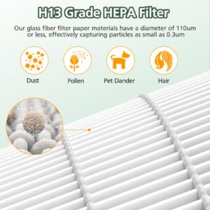 FLT4700 HEPA Filter M Replacement Compatible with G-Guardian AC4700 AC4700BDLX AC4711W AC4625 AC4625WDLX Air Purifier FLT4700 FLT47CB4, 2 H13 True HEPA + 4 Activated Carbon Filter (2+4)