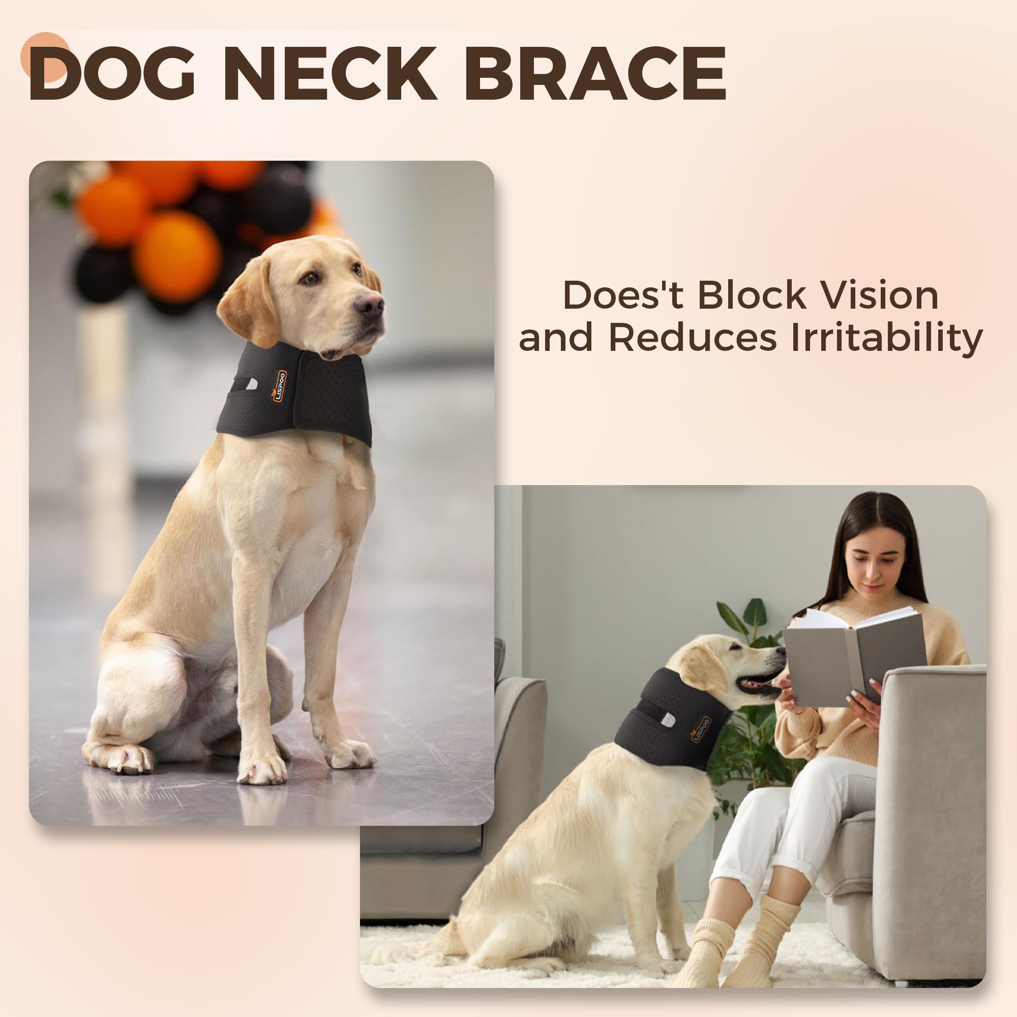 Dog Cervical Collar Neck Brace Supports Cervical Vertebral Sprains Instability, Neck Brace for Dog Limit The Range of Movement up and Down, Dog Cervical Brace Helps Recover from Cervical Sprains M