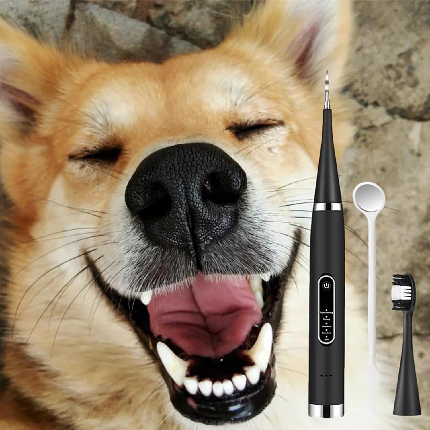 Yunbim Canident Dog Toothbrush, 5 Adjustable Strengths, IPX6 Waterproof, Removes Tartar, Ultra Soft, Reusable, Includes 2 Toothbrush Heads, Black-c