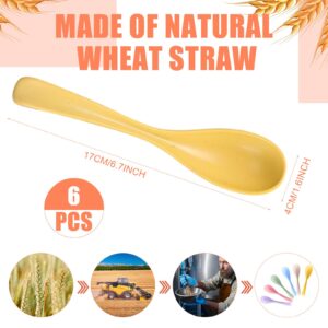 HMDZMR Soup Spoons Wheat Straw Chinese Soup Spoons Ramen Spoons, Long Asian Soup Spoon, Plastic Dinner Spoons for Noodle Dumpling Wonton Cereal (6PCS)