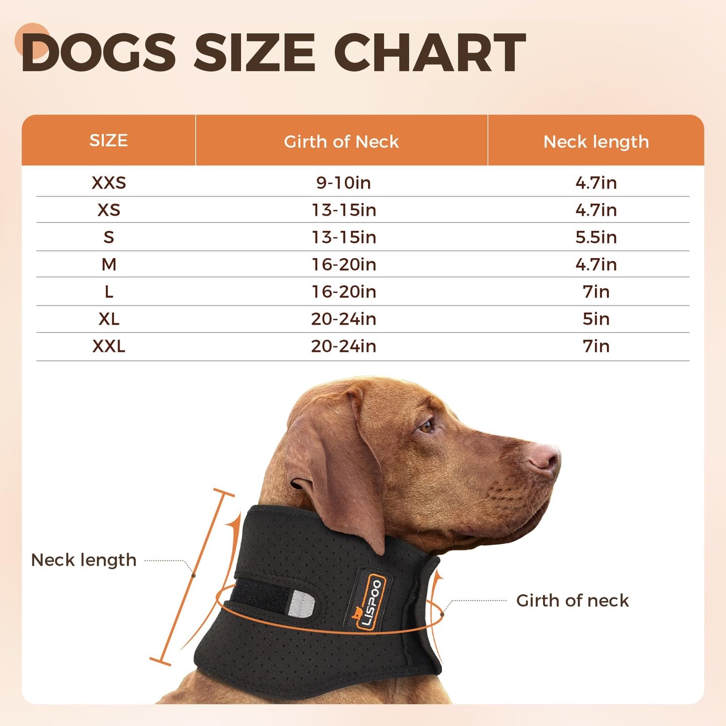 Dog Cervical Collar Neck Brace Supports Cervical Vertebral Sprains Instability, Neck Brace for Dog Limit The Range of Movement up and Down, Dog Cervical Brace Helps Recover from Cervical Sprains M