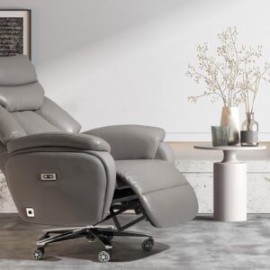 Kinnls Coast Power Office Recliner Chair,Big and Tall Executive Office Chair Fully Reclining Modern Ergonomic Genuine Leather Desk Chair with Arms (Gray-Dual Motor)