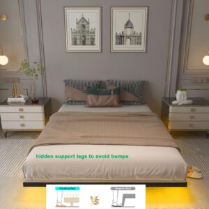 SAVOLIFE Floating Bed Frame Queen Size with LED Light, Metal Platform Bed Frame, No Box Spring Needed, Easy Assembly