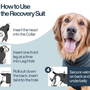 Dog Recovery Suit After Surgery - for Spay Neuter - with Washable Pads - Dog Onesie (Grey Medium)