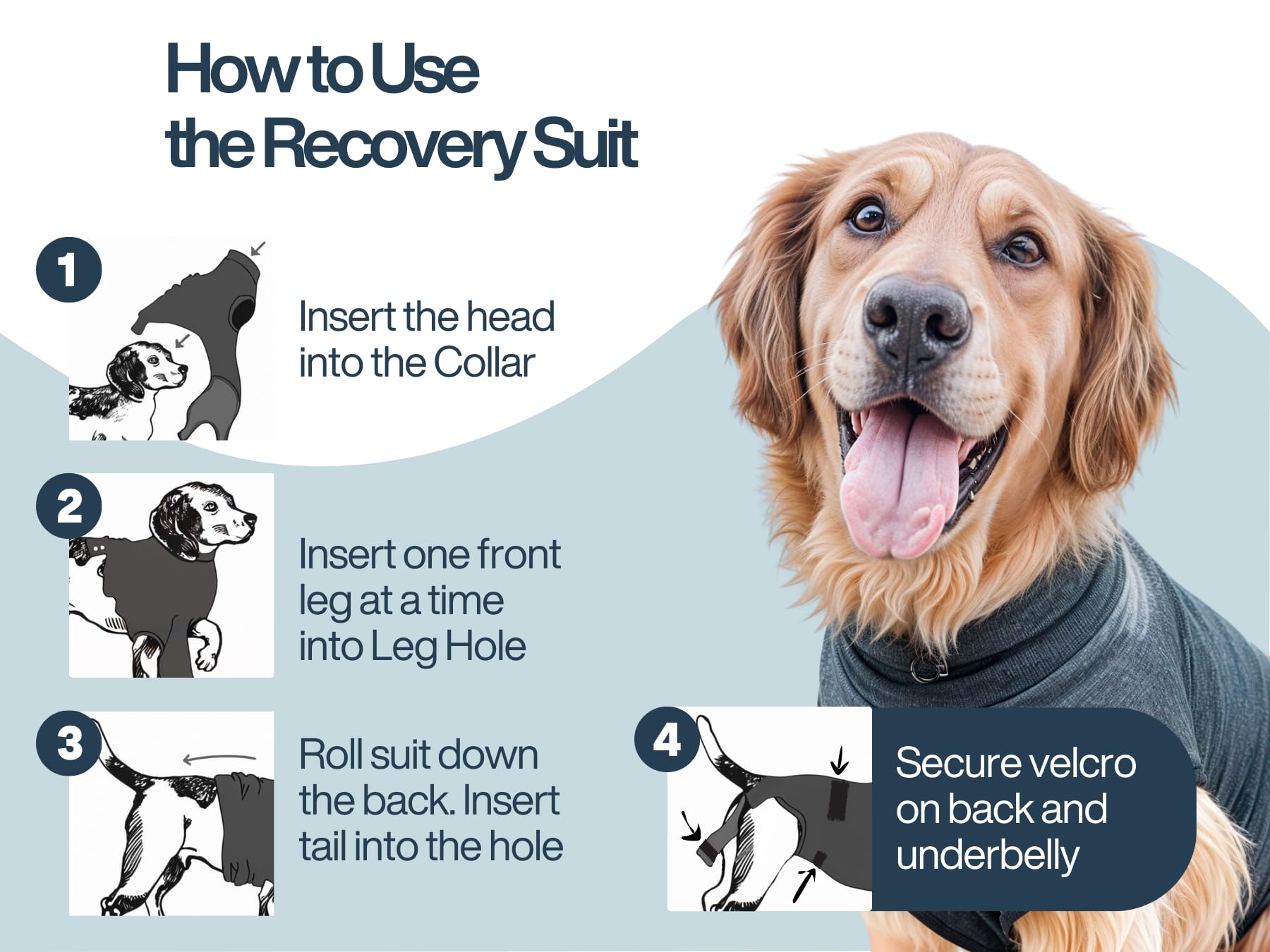 Dog Recovery Suit After Surgery - for Spay Neuter - with Washable Pads - Dog Onesie (Grey Medium)