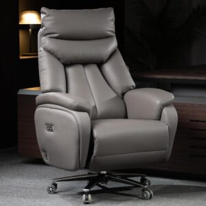 Kinnls Coast Power Office Recliner Chair,Big and Tall Executive Office Chair Fully Reclining Modern Ergonomic Genuine Leather Desk Chair with Arms (Gray-Dual Motor)