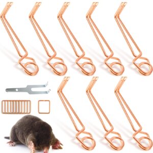 qualirey 8 pcs outdoor mole trap wire tong safe effective underground spring trap for weather resistant work mouse wildlife animal control supplies commercial residential backyards garden flower beds