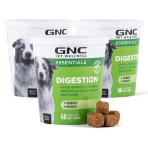 gnc pets essentials digestion supplements for all dogs, 60ct - 3 pack| soft chews bacon flavor 12oz reusable container | daily supplements for dogs digestion