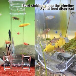 Rainmae Aquarium Fish Shrimp Feeding Dish Set, Transparent Aquarium Fish Feeder Tube Kit, Fish Tank Feeding Supplies with Cleaning Brush Aquarium Fish Tank Feeder and Preventing Food Scattering