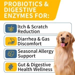 WONTECHMI Probiotics for Dogs, Improve Itchy Skin Itchy Ears, Gut Health, Yeast Balance, Allergies, Immunity, Dog Probiotics and Digestive Enzymes with Prebiotics, Reduce Diarrhea (Chicken, 120 chews)