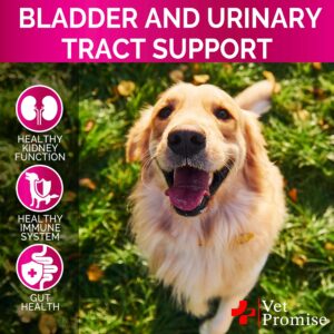 Dog UTI Treatment - Cranberry Supplement for Dogs UTI - Bladder Control for Dogs - Dog Urinary Tract Infection Treatment - UTI Medicine for Dogs - Dog Cranberry Supplement Vitamins Multivitamin Chews