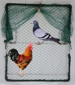 bird net dird net trap live dove mousetrap rabbit hunting quail cage sparrows squirrels trapping bird trap 24''x20''