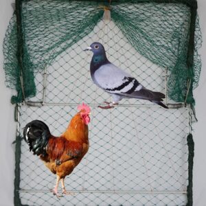 Bird Net Dird Net Trap Live Dove Mousetrap Rabbit Hunting Quail Cage Sparrows Squirrels Trapping Bird Trap 24''X20''