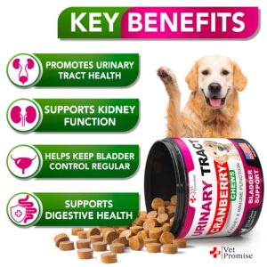 Dog UTI Treatment - Cranberry Supplement for Dogs UTI - Bladder Control for Dogs - Dog Urinary Tract Infection Treatment - UTI Medicine for Dogs - Dog Cranberry Supplement Vitamins Multivitamin Chews