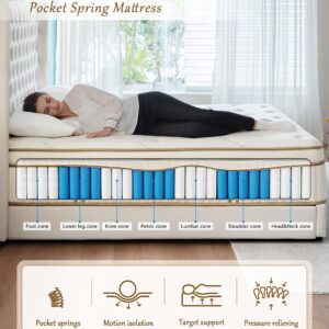 SURLUNKEYS Gel Foam Hybrid Mattress - Euro Top 14 Inch Queen Mattress with Pocket Spring for Motion Isolating, Medium Firm Mattress in a Box, 120-night Trial