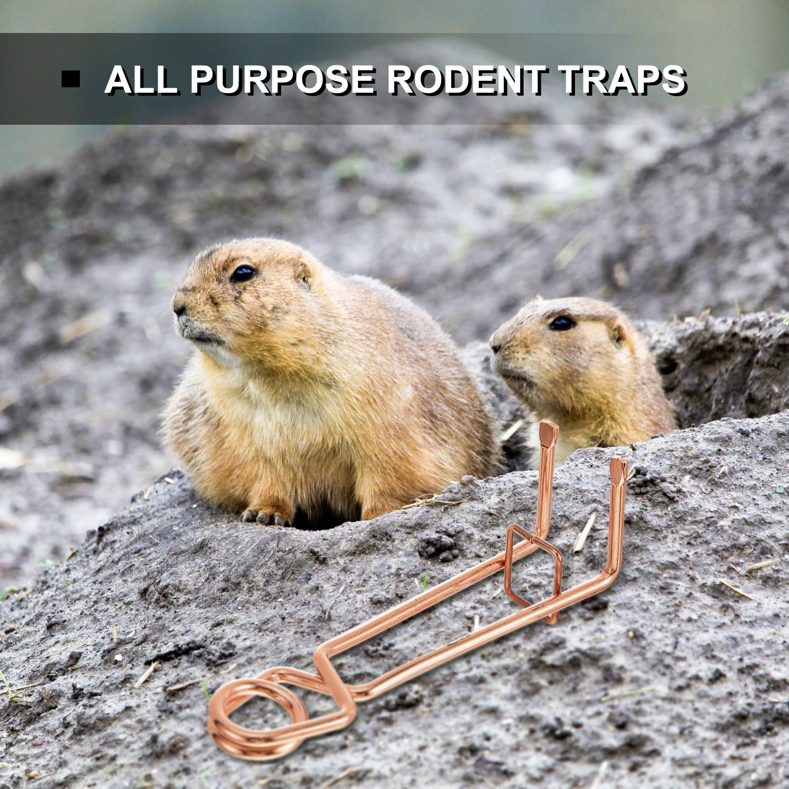 Qualirey 8 Pcs Outdoor Mole Trap Wire Tong Safe Effective Underground Spring Trap for Weather Resistant Work Mouse Wildlife Animal Control Supplies Commercial Residential Backyards Garden Flower Beds