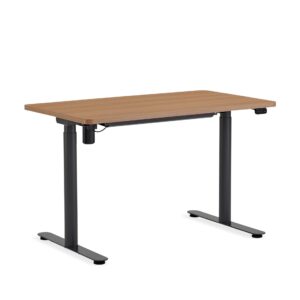 Steelcase AMQ Solo Sit-to-Stand Desk - Standing Adjustable Desk - Powerful Computer Standing Desk - Easy Assembly Computer Desk - Merle Base & Dark Oak Top