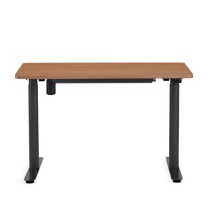 Steelcase AMQ Solo Sit-to-Stand Desk - Standing Adjustable Desk - Powerful Computer Standing Desk - Easy Assembly Computer Desk - Merle Base & Dark Oak Top