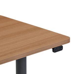 Steelcase AMQ Solo Sit-to-Stand Desk - Standing Adjustable Desk - Powerful Computer Standing Desk - Easy Assembly Computer Desk - Merle Base & Dark Oak Top