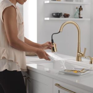 Delta Faucet Boyd Kitchen Faucet with Soap Dispenser, Kitchen Faucets with Pull Down Sprayer Gold, Kitchen Sink Faucet with Magnetic Docking Spray Head, Champagne Bronze 19893Z-CZSD-DST