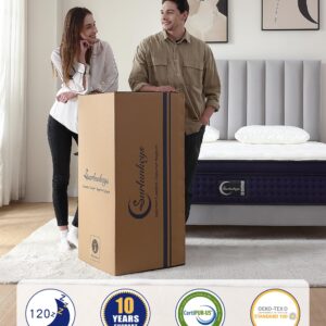 SURLUNKEYS 14 Inch Cal King Mattress - Euro Top Memory Foam Hybrid Mattress with Pocket Spring for Motion Isolating, Medium Firm Mattress in a Box, 120-night Trial