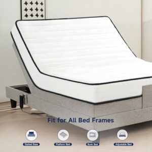 Z-hom Full Mattress 8 Inch, Full Size Mattresses Hybrid Innerspring Mattress in a Box, Full Foam Spring Mattress with Motion Isolation & Pressure Relief for Full Bed Frames, Medium Soft, White