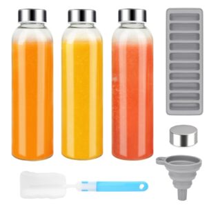 zukro glass juice bottles with lids for juicing 18 oz, reusable clear glass water bottles with stainless steel airtight cap for refrigerator, 100% leak proof, bpa free, set of 3