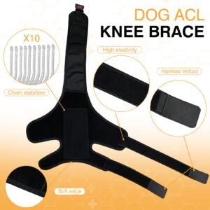 Dog Knee Brace Dog ACL Brace Hind Leg Dog Knee Brace for Torn ACL Hind Leg with Side Stabilizer ACL Brace for Dogs Pain Relief Dog ACL Knee Brace Extra Support Treats Kneecap Dislocation Arthritis-L